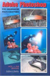 Underwater Photographer