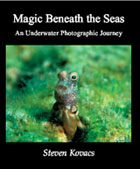 Magic Beneath The Seas
