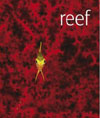 Reef