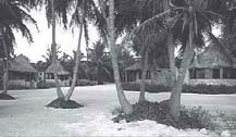 Beachfront palapas at Costa de Cocos