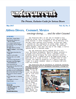 Undercurrent May Issue