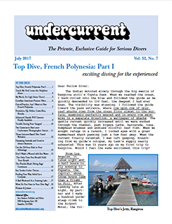 Undercurrent July Issue