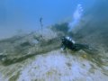 Bayaligue Wreck