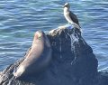 Iconic Galapagos shot