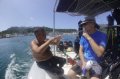 Naples Bay