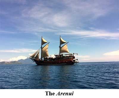 The Arenui