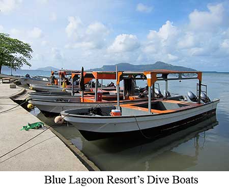 Blue Lagoon Resort's Dive Boats