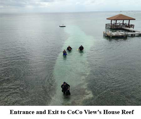 Entrance and Exit to CoCo View's House Reef