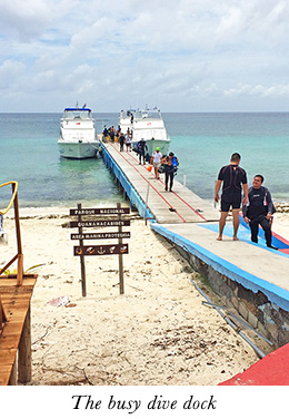 The busy dive dock