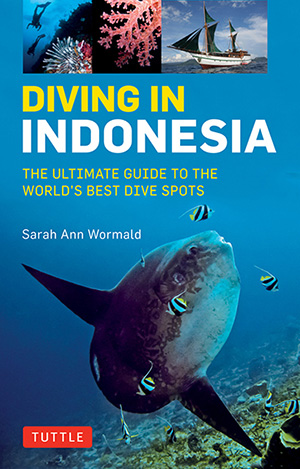 Diving In Indonesia