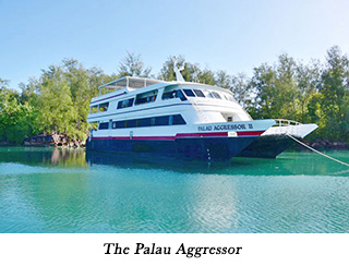 The Palau Aggressor
