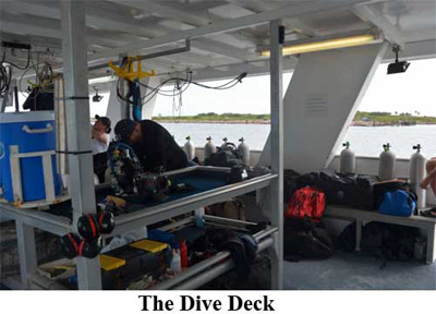 The Dive Deck