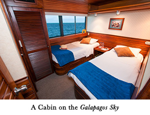 A Cabin on the Galapagos Sky