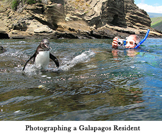 Photographing a Galapagos Resident