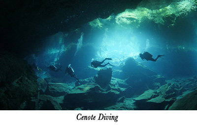 Cenote Diving