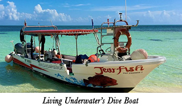 Living Underwater's Dive Boat