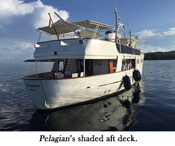 Pelagian's shaded aft deck.