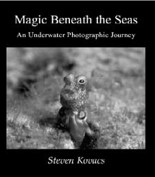 Magic Beneath the Seas