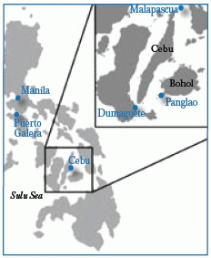 Malapascua and Panglao, Philippines