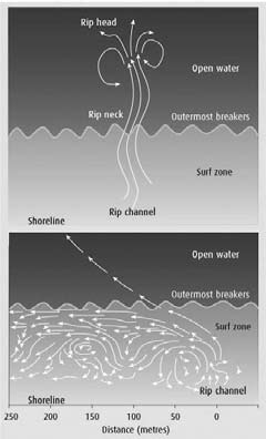 New Advice for Divers Caught in Rip Currents