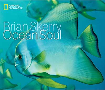 Our Book Pick This Month: Ocean Soul