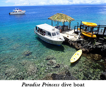 Paradise Princess dive boat