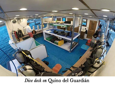 Quino del Guardin - Mexico liveaboard