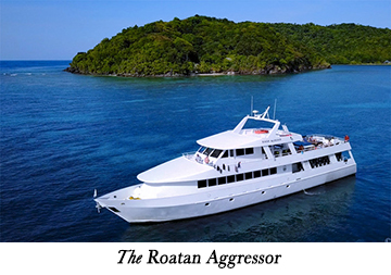 The Roatan Aggressor