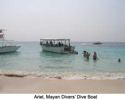 Ariel, Mayan Divers' Dive Boat