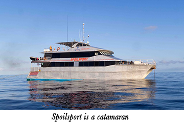Spoilsport is a catamaran