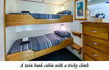A twin bunk cabin with a tricky climb