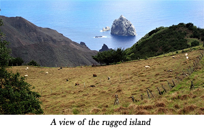 A view of the rugged island