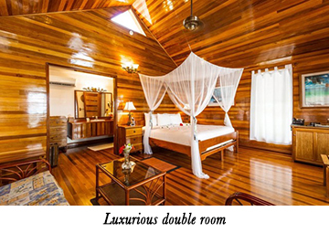 Luxurious double room