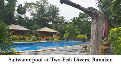 Saltwater pool at Two Fish Divers, Bunaken