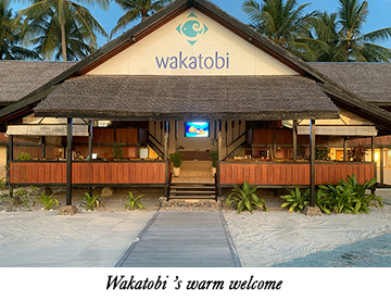 Wakatobi Dive Resort