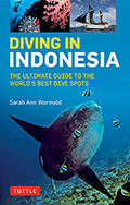 Diving In Indonesia