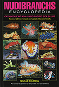 Nudibranchs Encyclopedia - Asia/Indo-Pacific