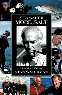 Sea Salt II - More Salt