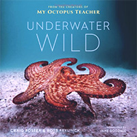 Underwater Wild: My Octopus Teacher's Extraordinary World