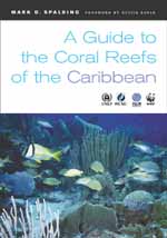 Coral Reefs of the Caribbean