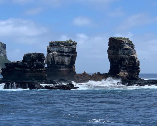 collapse of Darwin’s Arch