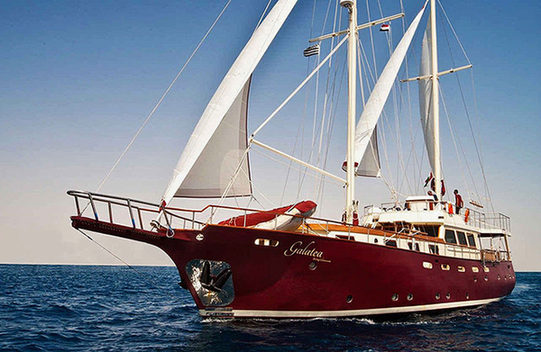 Galatea Liveaboard Disaster