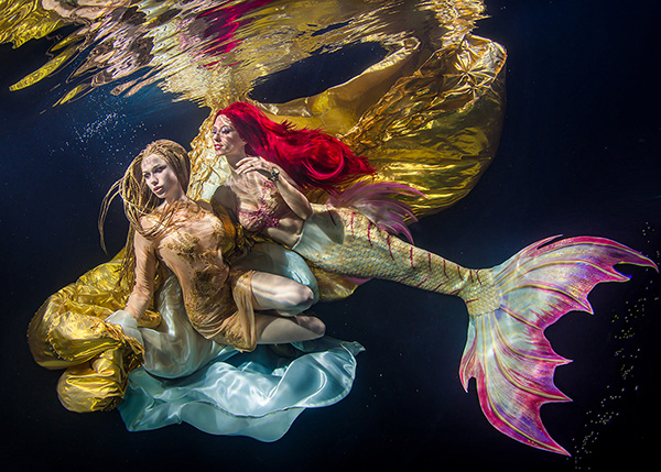 World Shootout Underwater Photography Winners