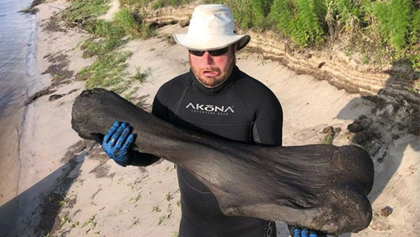 Mammoth Bone Find in Arcadia