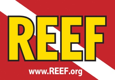 Donate to REEF