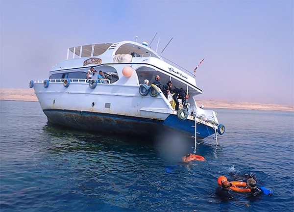 Sea Flower ran aground on a reef