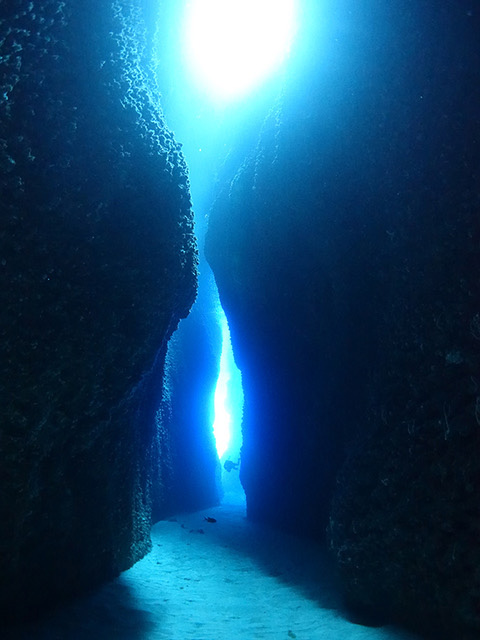 Dive Solomon Islands