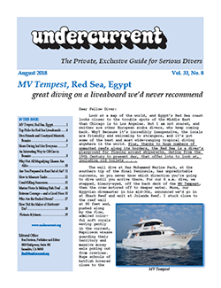 Undercurrent August Issue