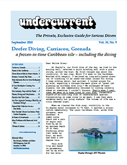 Undercurrent September Issue