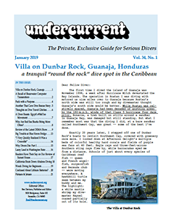 Undercurrent January Issue